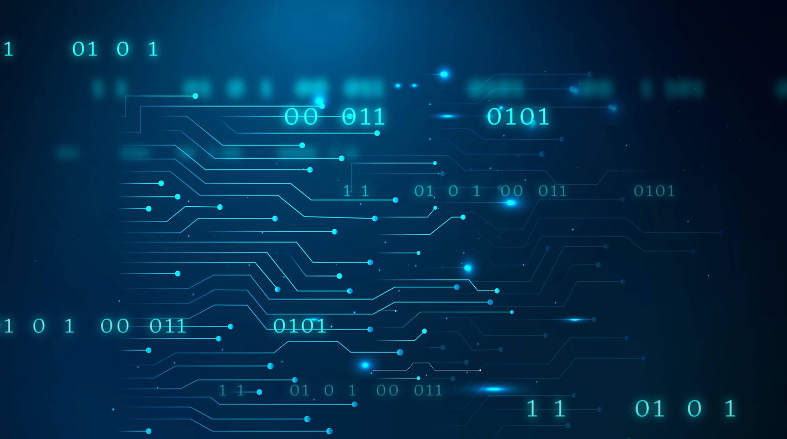 SaaS Platform for Local Businesses